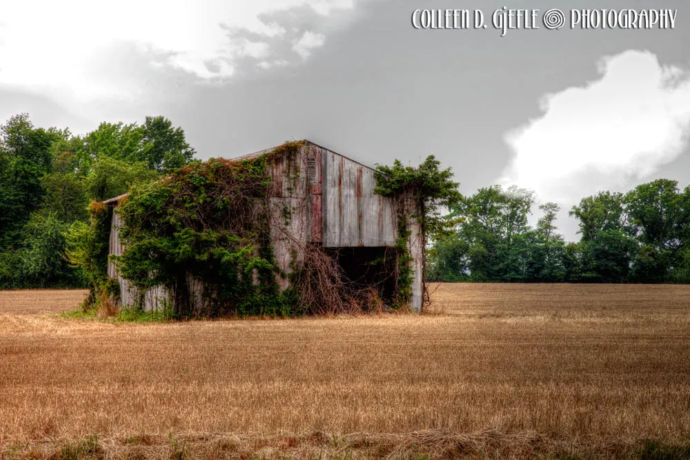 Old shed in field